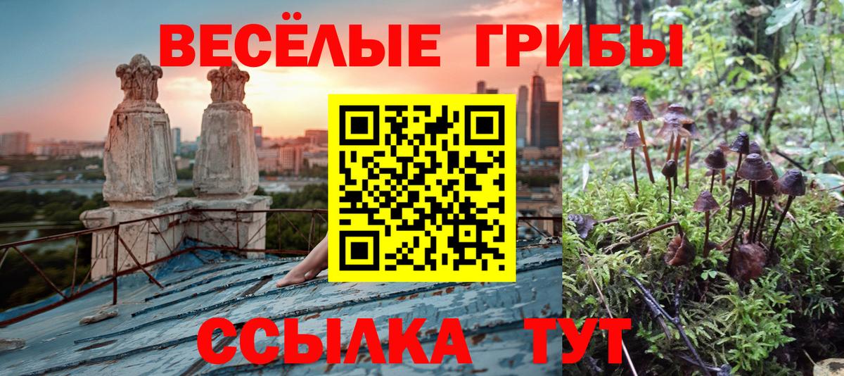 где найти наркотики  Псилоцибиновые грибы прущие грибы  Вход с VPN  Усинск 